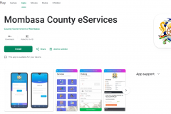 Mombasa: Digital Payment Interface for Government