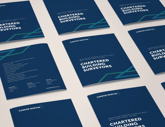 CARDOE MARTIN screenshot 2