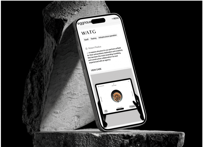 Eggnauer | Visual System for Tech screenshot 1