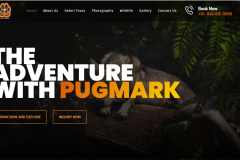 Pugmark Safari