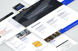 Website for Digital History Network