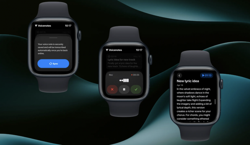 Voice Notes screenshot 2