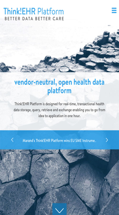 Think!EHR Platform screenshot 1