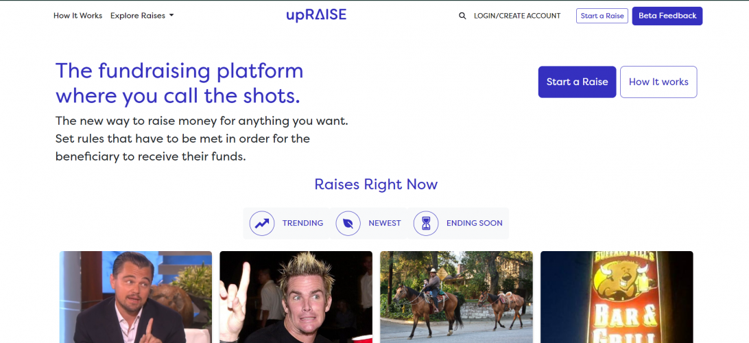 Upraise Website screenshot 1