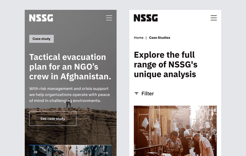 NSSG - Branding & Website screenshot 1