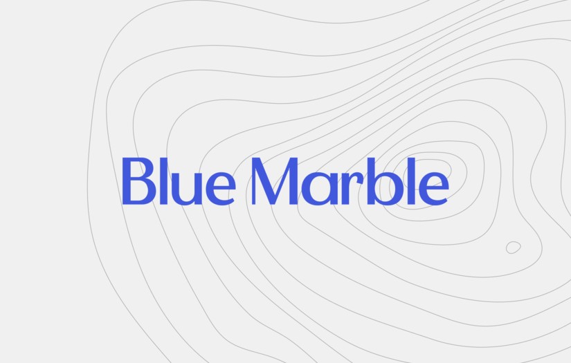 Blue Marble - Branding & Website screenshot 1