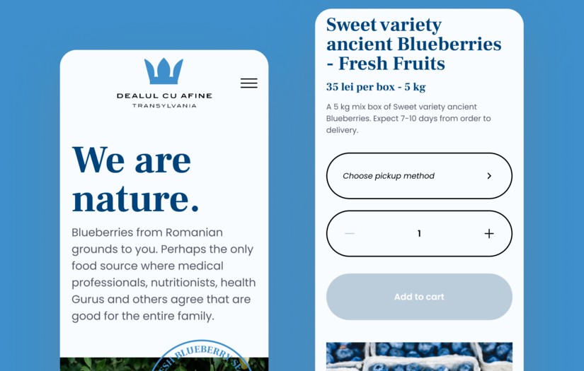 Dealul cu afine - Ecommerce Website Design screenshot 1