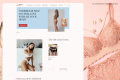 E-commerce | Fashion Industry | React.js (Next.js)/Laravel development