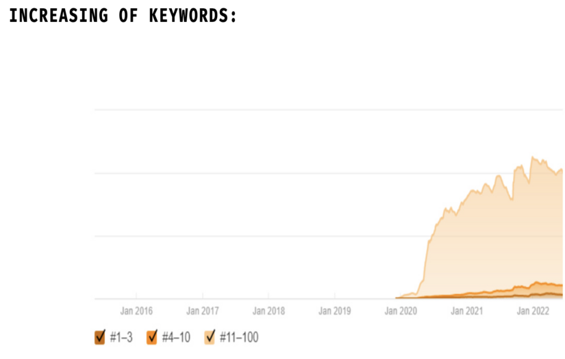 SEO promotion of Avenga IT company - case study screenshot 1