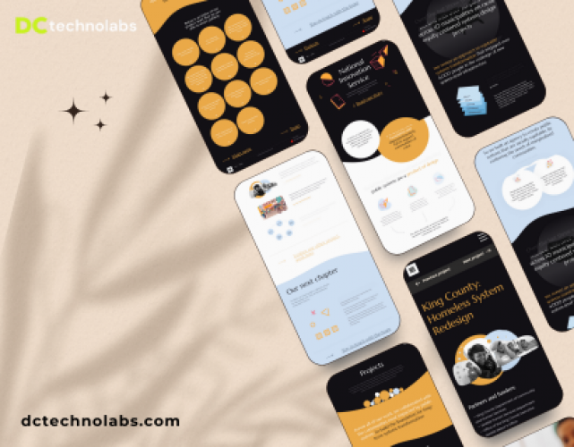 Web Development and Marketing for NIS screenshot 3