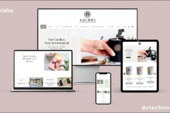 E-Commerce Website for AHLOKI