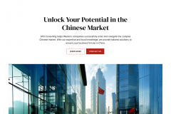 SPG Consulting Website