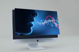 Voice Recognition Solution