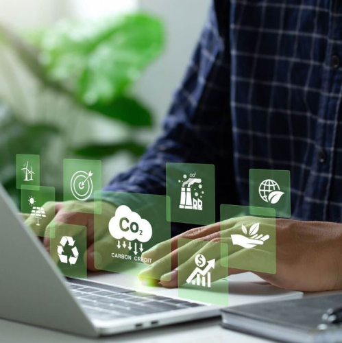 Innovative Carbon Offset App screenshot 1