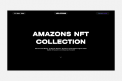 Amazons NFT colection