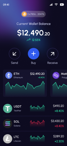 Cryptocurrency Payment Gateway Development  screenshot 4