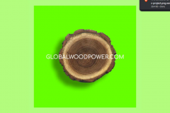 WOODGLOBALPOWER.COM