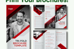 Brochure Designing & Printing