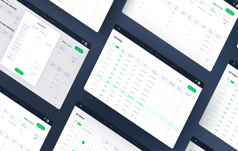 Claims Management System for Evaluating Hospital Bills screenshot 1
