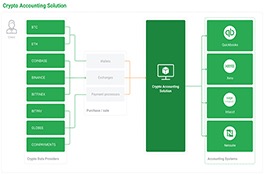 Accounting Platform with Crypto Assets