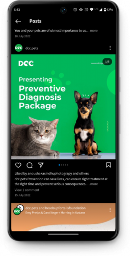 DCC Animal Hospital screenshot 1