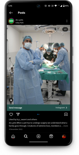 DCC Animal Hospital screenshot 3