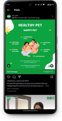 DCC Animal Hospital screenshot 2