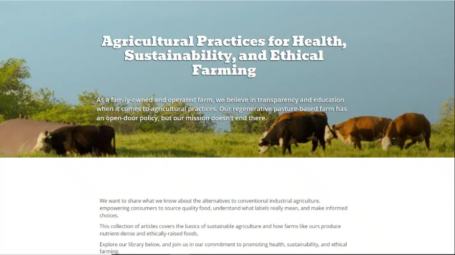 How Seven Sons Boosted Their Year-Over-Year Revenue by 121% screenshot 2