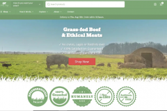 How Seven Sons Boosted Their Year-Over-Year Revenue by 121%