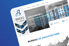 Business Site Bricks Project