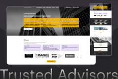 Redesign and improvement of the business site for the company Trustedadvisors