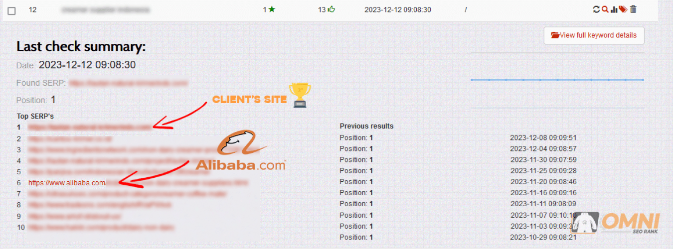 B2B SEO Case Study and Strategy to Compete with External Markets such as Alibaba screenshot 1