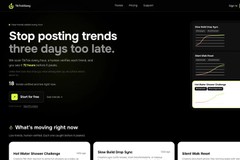 TikTokSlang – trend intelligence for TikTok creators