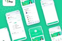 QPay - eWallet Application Development