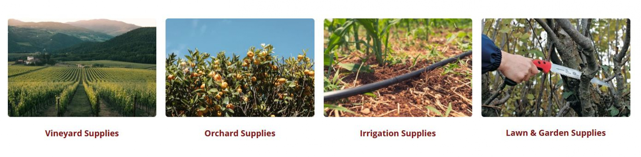 Orchard Valley Supply screenshot 1