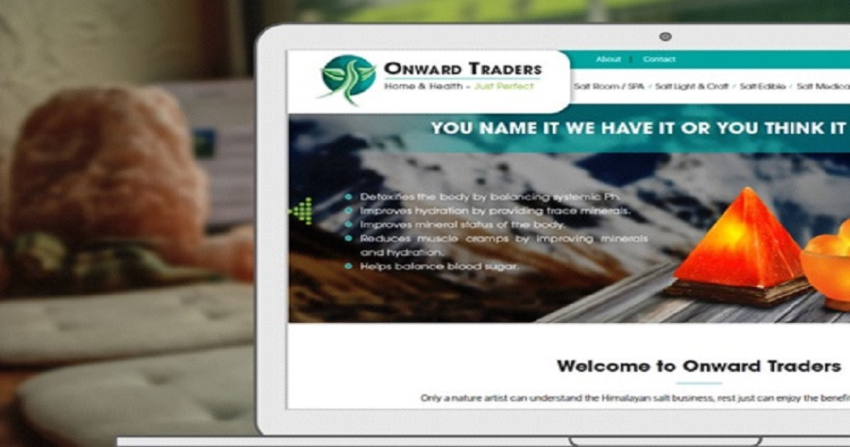 Onwards Trader screenshot 1