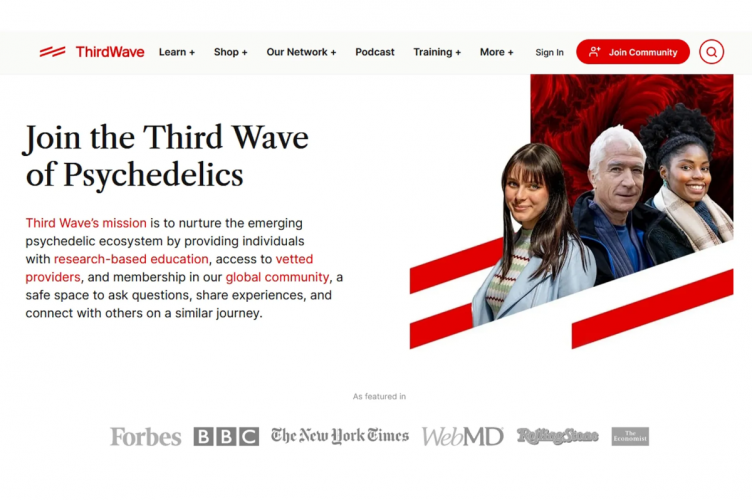 Third Wave screenshot 1