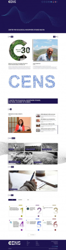 Website development screenshot 2