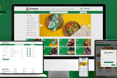 Online shop development