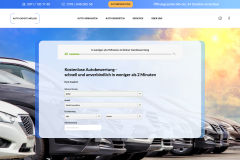 Auto-export- mueller