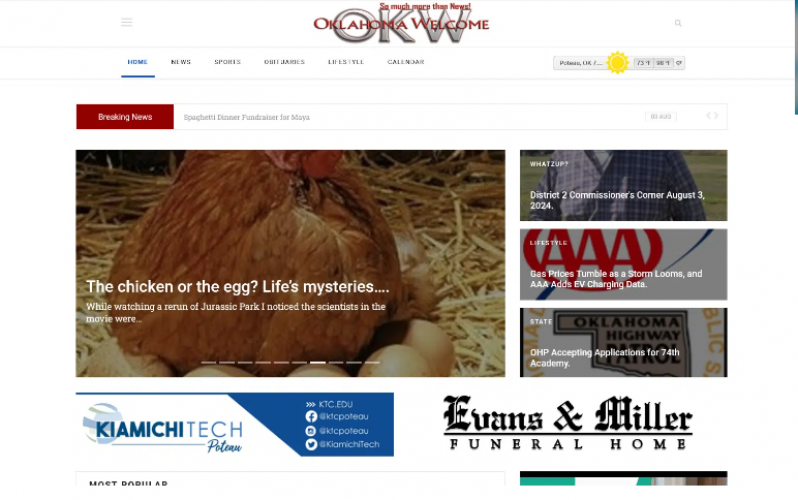 OKW News screenshot 1