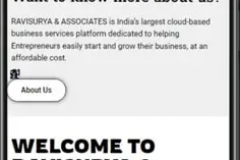 Ravisurya Associates: A CA Firm Legal Business Website Development Case Study