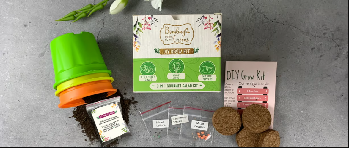 How Bombay Greens Grew Their Sales by 70% within 90 Days. screenshot 1