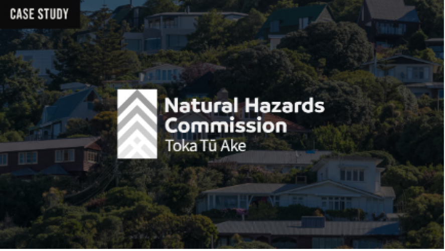 The Natural Hazards Commission screenshot 1