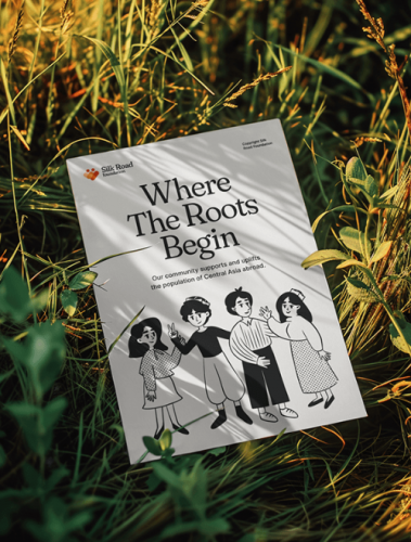 Redesigning Silk Road Foundation’s Digital Presence screenshot 5