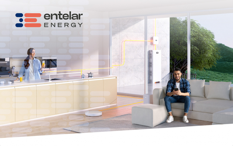 Entelar Energy screenshot 1