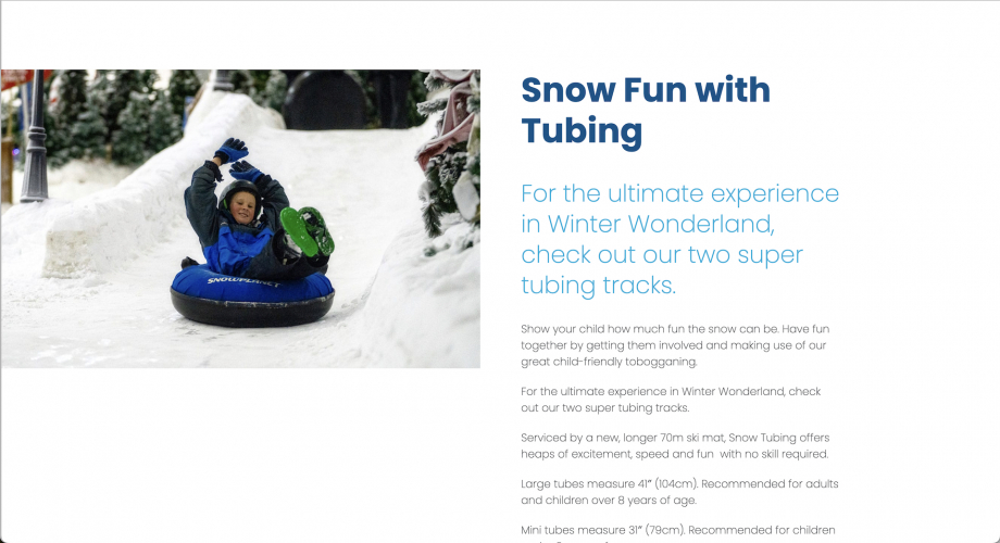 Snowplanet Website Design screenshot 1