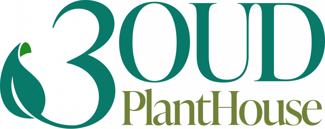 3oud Plant House screenshot 1