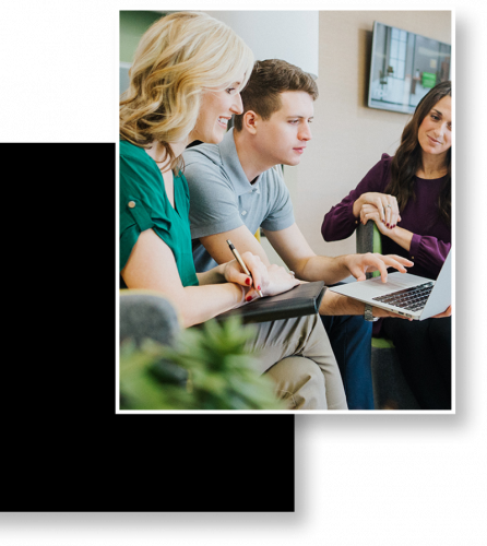 Sulmi Web Development screenshot 1