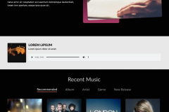 Connecting Music and Fans